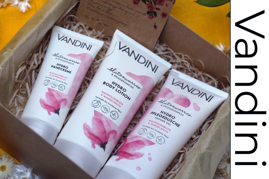 Бокс Vandini.jpg Бокс Vandini.jpg