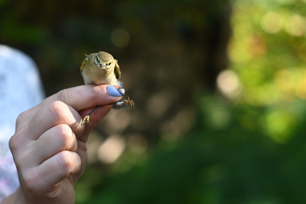 DSC_9212.jpg