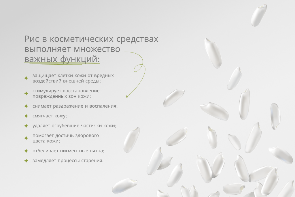 текст для статьи.png