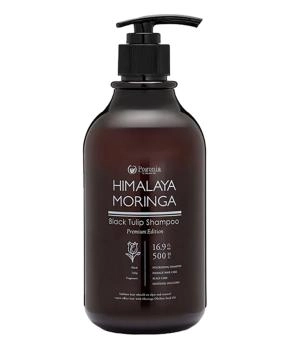 POGONIA Шампунь с маслом моринги для себорегуляции кожи головы и интенсивного блеска волос "Черный тюльпан", 500мл