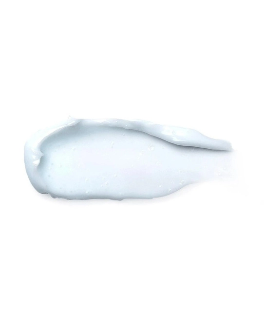 Round Lab Крем для лица увлажняющий BIRCH JUICE MOISTURIZING CREAM, 80мл (1)