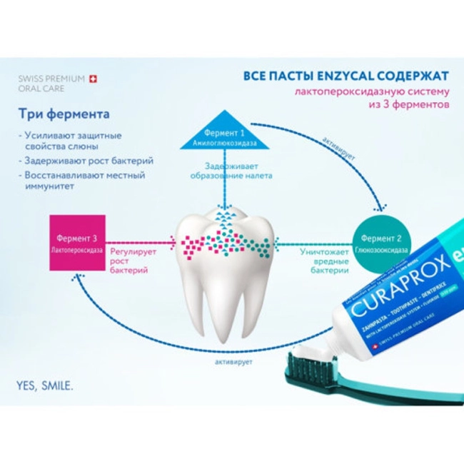 Curaprox Зубная паста Лечебно-профилактическая Enzycal 1450, 75мл (1)